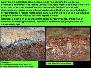 A elevada singularidade deste espazo reside no substrato litolóxico, que
constitúe o afloramento de rochas ultrabásicas máis extenso do noroeste ibérico,
esténdese entre o sur de Melide e os arredores de Sobrado. A área está
atravesada por masivas e complexas bandas de anfibolitas, rochas ultrabásicas
serpentinizadas e rochas metabásicas en facies granulítica, que son substituídas
por gneis de biotita máis ao oeste do espazo natural.
Resáltase a aparición de rochas ultrabásicas serpentinizadas, anfibolitas en
flocos e anfibolitas granatíferas, así como a existencia dos pregamentos en
rochas deste tipo.
Corte de solo de serpentinas
Serpentina
As rochas ultrabásicas da Serra do
Careón altéranse con moita facilidade.
 