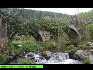 Ponte en Furelos, no camiño de Santiago
 