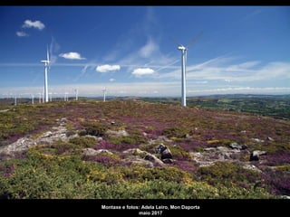 Montaxe e fotos: Adela Leiro, Mon Daporta
maio 2017
 