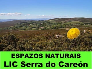 ESPAZOS NATURAIS
LIC Serra do Careón
 