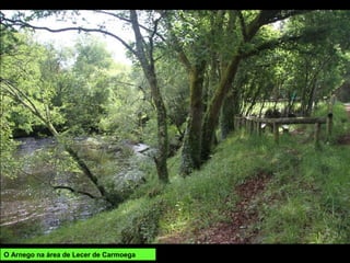 O Arnego na área de Lecer de Carmoega
 