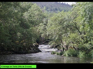 O Arnego en Toiriz (Vila de Cruces)
 