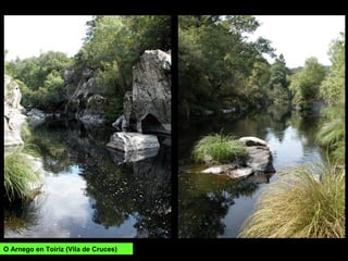 O Arnego en Toiriz (Vila de Cruces)
 