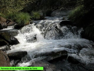 Fervenza no río Arnego, na zona de Toiriz
 