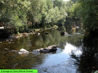 O Arnego en Toiriz (Vila de Cruces)
 