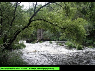 O Arnego entre Toiriz (Vila de Cruces) e Brántega (Agolada)
 