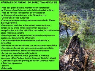 HÁBITATS DO ANEXO I DA DIRECTIVA 92/43/CEE
-Ríos dos pisos basal a montano con vexetación
de Ranunculion fluitantis e de Callitricho-Batrachion
-Ríos de ribeiras lamacentas con vexetación
de Chenopodion rubri p.p. e de Bidention p.p.
-Queirogais secos europeos
-Zonas subestépicas de gramíneas e anuais do Thero-
Brachypodietea
-Prados con molinias sobre substratos calcáreos,
turbosos ou arxilo-limosos(Molinion caeruleae)
-Megaforbios eutrofos hidrófilos das orlas de chaira e dos
pisos montano a alpino
-Prados pobres de sega de baixa altitude (Alopecurus
pratensis, Sanguisorba officinalis)
-Desprendementos mediterráneos occidentais e
termófilos
-Encostas rochosas silíceas con vexetación casmofítica
-Rochedos silíceos con vexetación pioneira do Sedo-
Scleranthion ou do Sedo albi-Veronicion dillenii
-Covas non explotadas polo turismo
-Bosques aluviais de Alnus glutinosa e Fraxinus
excelsior (Alno-Padion, Alnion incanae, Salicion albae)
-Carballeiras galaico-portuguesas con Quercus robur
e Quercus pyrenaica
-Soutos
-Sobreirais
 