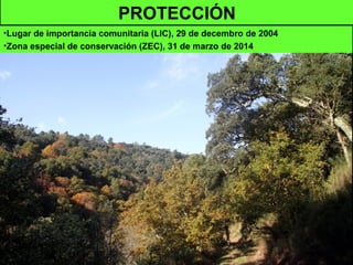 PROTECCIÓN
•Lugar de importancia comunitaria (LIC), 29 de decembro de 2004
•Zona especial de conservación (ZEC), 31 de marzo de 2014
 