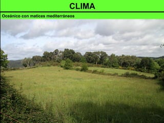 CLIMA
Oceánico con matices mediterráneos
 