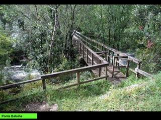 Ponte Balsiña
 