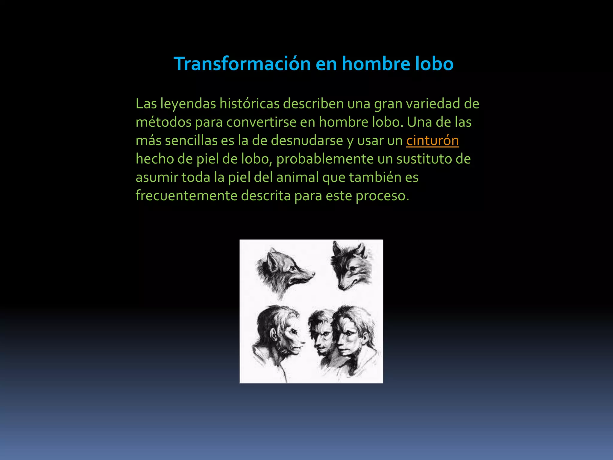 Transformación en hombre lobo
Las leyendas históricas describen una gran variedad de
métodos para convertirse en hombre lobo. Una de las
más sencillas es la de desnudarse y usar un cinturón
hecho de piel de lobo, probablemente un sustituto de
asumir toda la piel del animal que también es
frecuentemente descrita para este proceso.
 