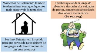 Momentos de isolamento também
tendem a fazer com que fiquemos
mais suscetíveis às tentações
Ovelhas que andam longe do
rebanho e afastadas dos cuidados
do pastor, sempre são alvos fáceis
dos lobos e mercenários
(Jo 10.11-13)
Por isso, Satanás tem investido
para que servos de Deus deixem de
congregar e de terem comunhão
uns com os outros
 