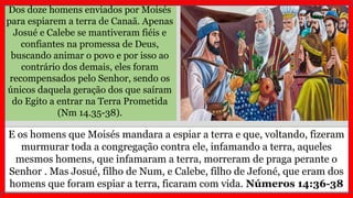 Dos doze homens enviados por Moisés
para espiarem a terra de Canaã. Apenas
Josué e Calebe se mantiveram fiéis e
confiantes na promessa de Deus,
buscando animar o povo e por isso ao
contrário dos demais, eles foram
recompensados pelo Senhor, sendo os
únicos daquela geração dos que saíram
do Egito a entrar na Terra Prometida
(Nm 14.35-38).
E os homens que Moisés mandara a espiar a terra e que, voltando, fizeram
murmurar toda a congregação contra ele, infamando a terra, aqueles
mesmos homens, que infamaram a terra, morreram de praga perante o
Senhor . Mas Josué, filho de Num, e Calebe, filho de Jefoné, que eram dos
homens que foram espiar a terra, ficaram com vida. Números 14:36-38
 