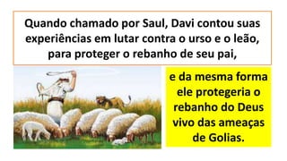 Quando chamado por Saul, Davi contou suas
experiências em lutar contra o urso e o leão,
para proteger o rebanho de seu pai,
e da mesma forma
ele protegeria o
rebanho do Deus
vivo das ameaças
de Golias.
 