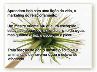 Aprendam isso com uma lição de vida, o
marketing do relacionamento:

Um mestre oriental viu que um escorpião
estava se afogando, e decidiu tirá-lo da água,
mas quando o fez, o escorpião o picou.



Pela reação de dor, o mestre o soltou e o
animal caiu de novo na água e estava se
afogando.
 