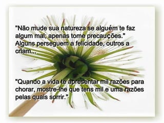 "Não mude sua natureza se alguém te faz
algum mal; apenas tome precauções."
Alguns perseguem a felicidade, outros a
criam...



"Quando a vida te apresentar mil razões para
chorar, mostre-lhe que tens mil e uma razões
pelas quais sorrir."
 