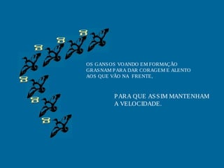 OS GANS OS VOANDO EM FORMAÇÃO
GRAS NAM P ARA DAR CORAGEM E ALENTO
AOS QUE VÃO NA FRENTE,

P ARA QUE AS S IM MANTENHAM
A VELOCIDADE.

 