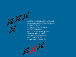 OUTROS S AEM DA FORMAÇÃO E
O ACOMP ANHAM P ARA AJ UDA-LO
E P ROTEGE-LO.
P ERMANECEM COM ELE
ATÉ QUE MORRA
OU S EJ A CAP AZ DE VOAR
NOVAMENTE; E ENTÃO
ALCANÇAM S EU BANDO,
OU S E INTEGRAM
EM OUTRA FORMAÇÃO.

 