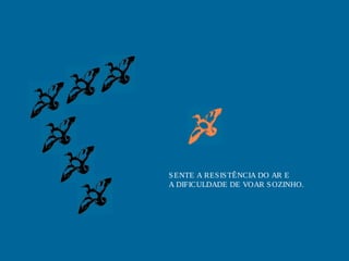 S ENTE A RES IS TÊNCIA DO AR E
A DIFICULDADE DE VOAR S OZINHO.

 