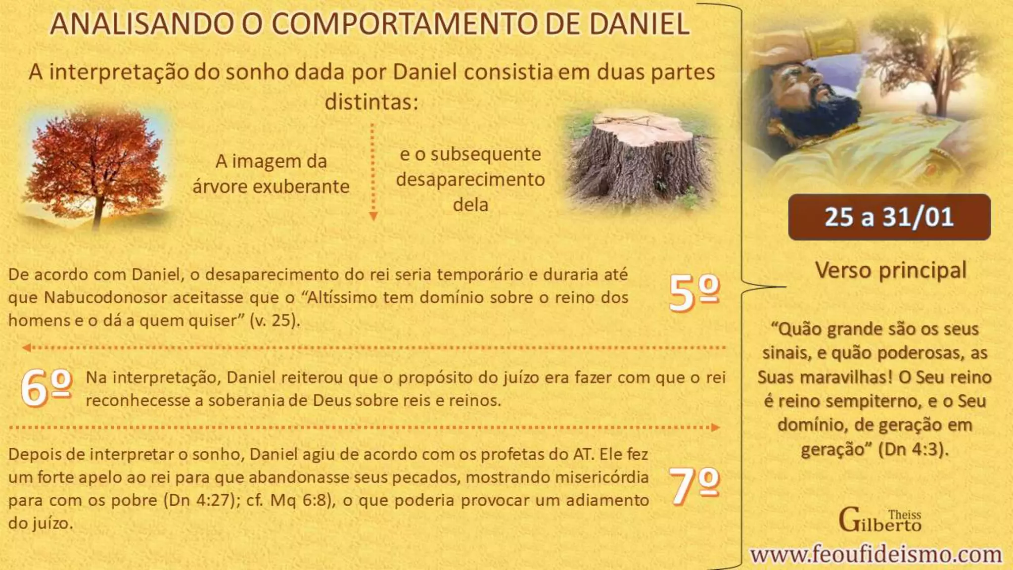 Slide 11