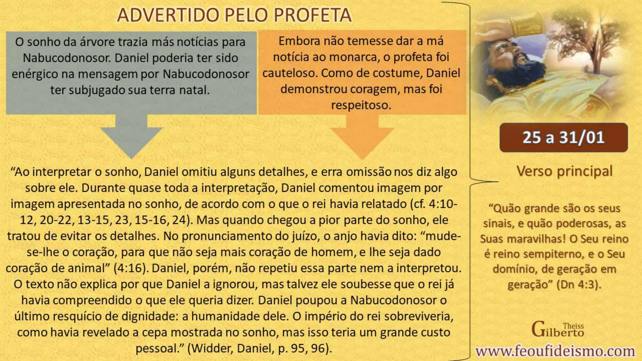 Slide 8
