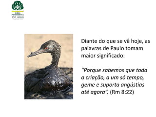 Diante do que se vê hoje, as
palavras de Paulo tomam
maior significado:

“Porque sabemos que toda
a criação, a um só tempo,
geme e suporta angústias
até agora”. (Rm 8:22)
 