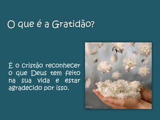 O que é a Gratidão?
É o cristão reconhecer
o que Deus tem feito
na sua vida e estar
agradecido por isso.
 
