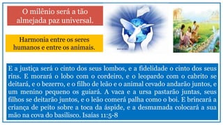 O milênio será a tão
almejada paz universal.
Harmonia entre os seres
humanos e entre os animais.
E a justiça será o cinto dos seus lombos, e a fidelidade o cinto dos seus
rins. E morará o lobo com o cordeiro, e o leopardo com o cabrito se
deitará, e o bezerro, e o filho de leão e o animal cevado andarão juntos, e
um menino pequeno os guiará. A vaca e a ursa pastarão juntas, seus
filhos se deitarão juntos, e o leão comerá palha como o boi. E brincará a
criança de peito sobre a toca da áspide, e a desmamada colocará a sua
mão na cova do basilisco. Isaías 11:5-8
 