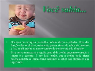  Doenças ou cirurgias na orelha podem alterar o paladar. Uma das 
funções das orelhas é justamente passar sinais de sabor do cérebro, 
e isso se dá graças ao nervo conhecido como corda do tímpano.
 Esse nervo transpassa a região central da orelha enquanto conecta a 
língua  e  o  cérebro.  É  por  isso,  então,  que  a  orelha  pode  afetar 
potencialmente a forma como sentimos o sabor dos alimentos que 
ingerimos. 
 