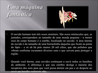  O ouvido humano tem três ossos nominais. São ossos minúsculos que, se
juntados, correspondem ao tamanho de uma moeda pequena – o menor
osso do corpo humano é o estribo, localizado no ouvido. A área interna
do ouvido é do tamanho de uma borrachinha daquelas que ficam na ponta
do lápis – e só ali há pelo menos 20 mil cílios, que são pelinhos que
vibram conforme escutamos diversos sons e que servem para proteger a
região.
 Quando você dorme, seus ouvidos continuam a ouvir todos os barulhos
do ambiente. A diferença é que seu cérebro desliga a maioria dos
receptores dos sons para que você possa dormir em paz e só desperte ao
ouvir um barulho realmente alto.
 