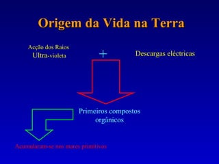 Origem da Vida na Terra Acção dos Raios  Ultra -violeta Descargas eléctricas + Primeiros compostos orgânicos Acumularam-se nos mares primitivos 
