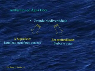Ambientes de Água Doce Grande biodiversidade À Superfície: Lentilhas, nenúfares, caniços Em profundidade: Barbos e trutas Ver figura 17 da pág. 15 