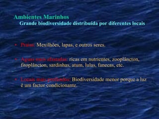 Praias:   Mexilhões, lapas, e outros seres. Aguas mais afastadas:   ricas em nutrientes, zooplâncton, fitoplâncton, sardinhas, atum, lulas, fanecas, etc. Locais mais profundos:   Biodiversidade menor porque a luz é um factor condicionante. Ambientes Marinhos Grande biodiversidade distribuída por diferentes locais 