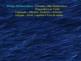Bosque Mediterrânico:   Circunda o Mar Mediterrâneo.   Pouca chuva no Verão Vegetação – Oliveira, Azinheira e Sobreiro. Animais – Javali, Lagartos e Aves de rapina 
