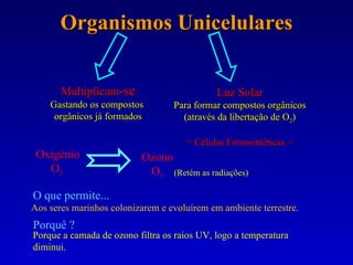 Organismos Unicelulares Multiplicam -se Gastando os compostos  orgânicos já formados Luz Solar Para formar compostos orgânicos (através da libertação de O 2 ) = Células Fotossintéticas = Oxigénio O 2   Ozono O 3 (Retém as radiações) O que permite...   Aos seres marinhos colonizarem e evoluírem em ambiente terrestre.   Porquê ?   Porque a camada de ozono filtra os raios UV ,  logo   a   temperatura diminui. 