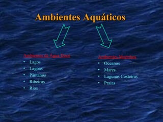 Ambientes Aquáticos Ambientes de Água Doce Lagos Lagoas Pântanos Ribeiros  Rios Ambientes Marinhos Oceanos Mares Lagunas Costeiras Praias 