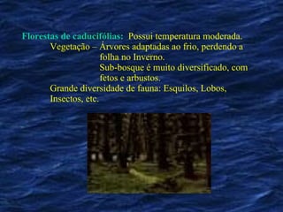 Florestas de caducifólias:   Possui temperatura moderada. Vegetação – Árvores adaptadas ao frio, perdendo a   folha no Inverno.   Sub-bosque é muito diversificado, com   fetos e arbustos. Grande diversidade de fauna: Esquilos, Lobos,  Insectos, etc. 