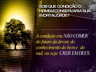 A condição era  NÃO COMER  do futuro da árvore do conhecimento do bem e  do mal, ou seja:  CRER EM DEUS . SOB QUE CONDIÇÃO O HOMEM CONSERVARIA SUA IMORTALIDADE? 