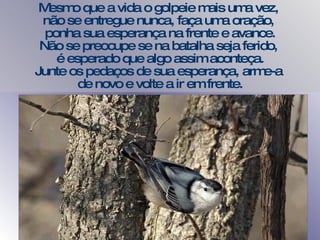 Mesmo que a vida o golpeie mais uma vez,  não se entregue nunca, faça uma oração,  ponha sua esperança na frente e avance. Não se preocupe se na batalha seja ferido,  é esperado que algo assim aconteça. Junte os pedaços de sua esperança, arme-a  de novo e volte a ir em frente. 