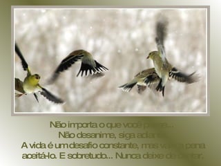 Não importa o que você passe...  Não desanime, siga adiante. A vida é um desafio constante, mas vale a pena aceitá-lo. E sobretudo... Nunca deixe de cantar. 