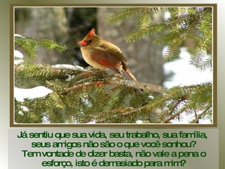 Já sentiu que sua vida, seu trabalho, sua família,  seus amigos não são o que você sonhou? Tem vontade de dizer basta, não vale a pena o esforço, isto é demasiado para mim? 