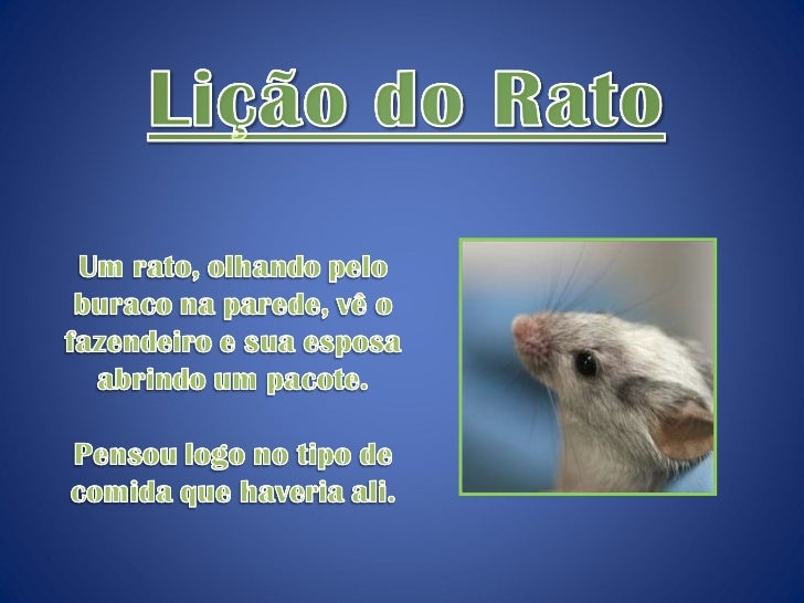 Qual A Ação Indica A Ingenuidade Do Rato