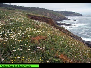 Punta da Roza desde Punta Torrella
 