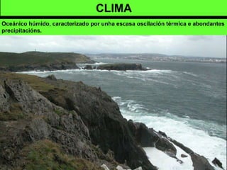 Oceánico húmido, caracterizado por unha escasa oscilación térmica e abondantes
precipitacións.
CLIMA
 