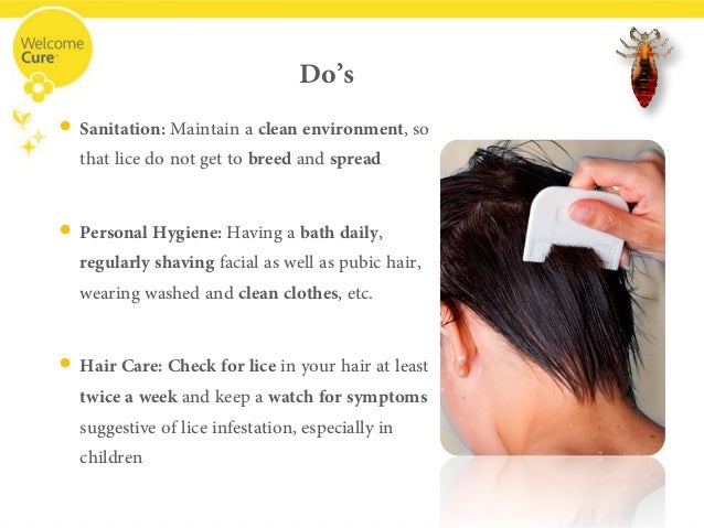Head Lice Making Your Child S Head Their Home Throw Them Out With Ho