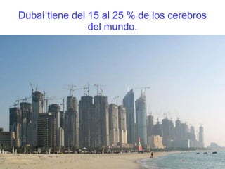 Dubai tiene del 15 al 25 % de los cerebros del mundo. 