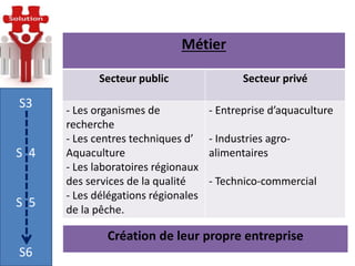-
S3
S 4
S 5
S6
Métier
Secteur privéSecteur public
- Entreprise d’aquaculture
- Industries agro-
alimentaires
- Technico-c...