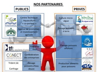 NOS PARTENAIRES
Centre Technique
Aquaculture
« co-porteur »
Agence de promotion
et investissement
agricole
Culture micro-
...