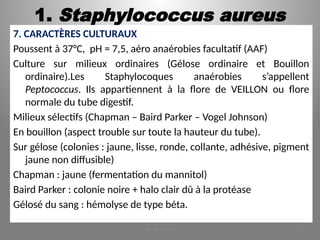 1. Staphylococcus aureus
7. CARACTÈRES CULTURAUX
Poussent à 37°C, pH = 7,5, aéro anaérobies facultatif (AAF)
Culture sur milieux ordinaires (Gélose ordinaire et Bouillon
ordinaire).Les Staphylocoques anaérobies s’appellent
Peptococcus. Ils appartiennent à la flore de VEILLON ou flore
normale du tube digestif.
Milieux sélectifs (Chapman – Baird Parker – Vogel Johnson)
En bouillon (aspect trouble sur toute la hauteur du tube).
Sur gélose (colonies : jaune, lisse, ronde, collante, adhésive, pigment
jaune non diffusible)
Chapman : jaune (fermentation du mannitol)
Baird Parker : colonie noire + halo clair dû à la protéase
Gélosé du sang : hémolyse de type béta.
KOUA Amian 10
 
