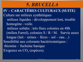5. BRUCELLA
IV – CARACTÈRES CULTURAUX (SUITE)
Culture sur milieux synthétiques
milieux liquides : développement lent, trouble
homogène –voile.
milieux solides : très fines colonies en 48h
(milieu Farrel), colonies S / R / M. Survie assez
longue (lait – urines – fèces – sol – eau…)
Sensibilité aux colorants bactériostatiques :
thionine – fuchsine basique
Exigence en CO2 (espèces).
KOUA Amian 100
 